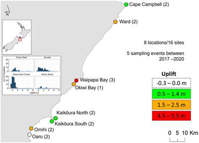 Cataclysmic Disturbances to an Intertidal Ecosystem: Loss of Ecological Infrastructure Slows Recovery of Biogenic Habitats and Diversity